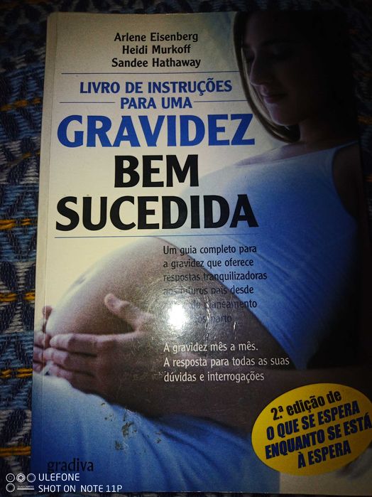 Livro de instruções para uma gravidez bem sucedida