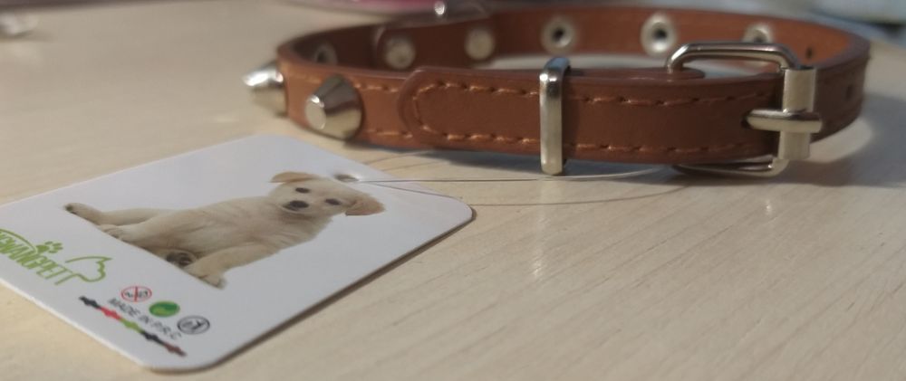 Поводок, ошейник, игрушка и перчатка