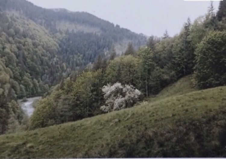 Ділянка біля Чорного Черемоша | Без сусідів | Карпати