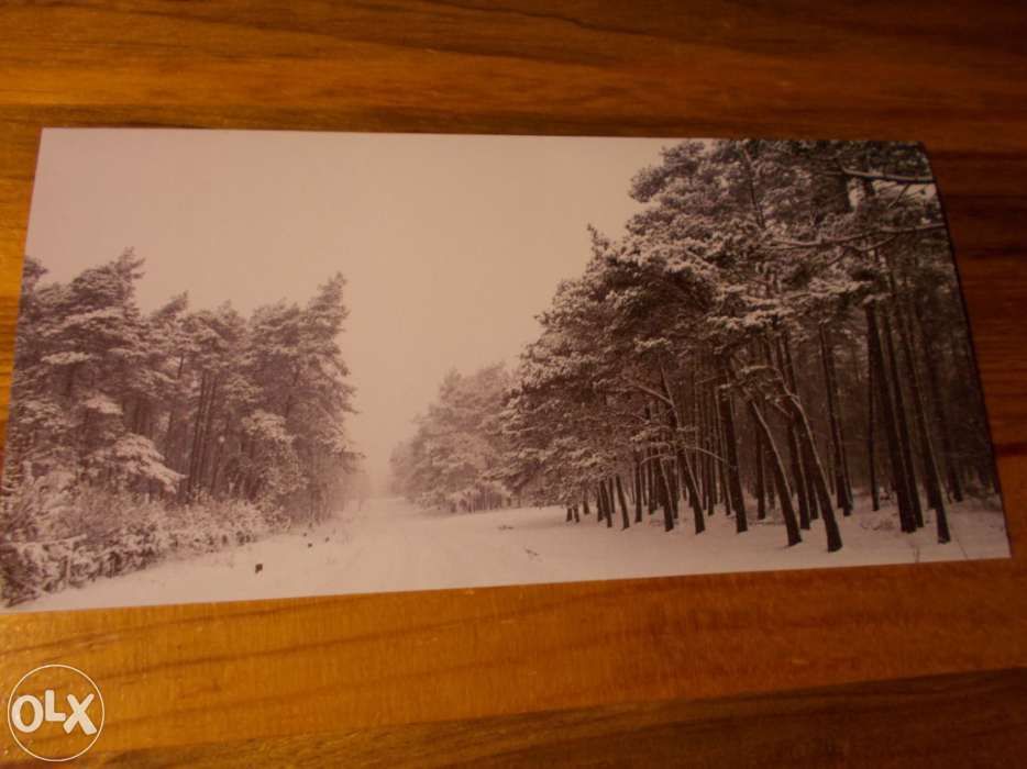 12 Postais da unicef