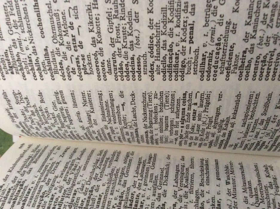 Dicionário de Alemão-Português Português-Alemão