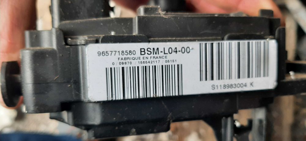 bsm citroen peugeot l04-00