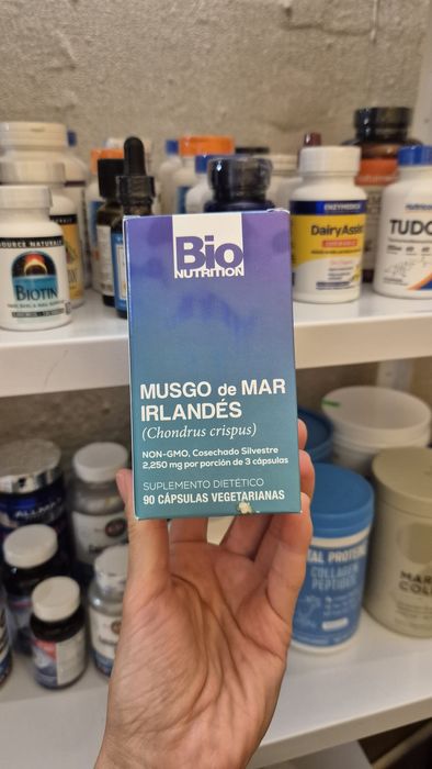 Ірландський морський мох