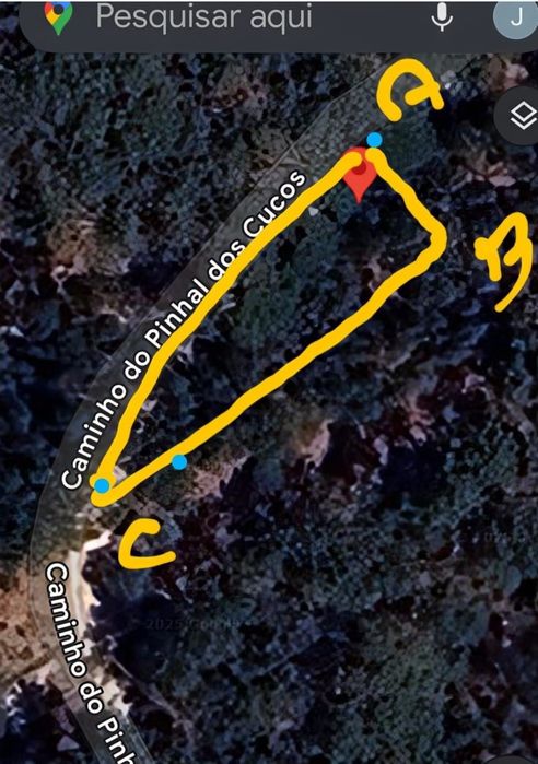 Arrendo terreno em Janas