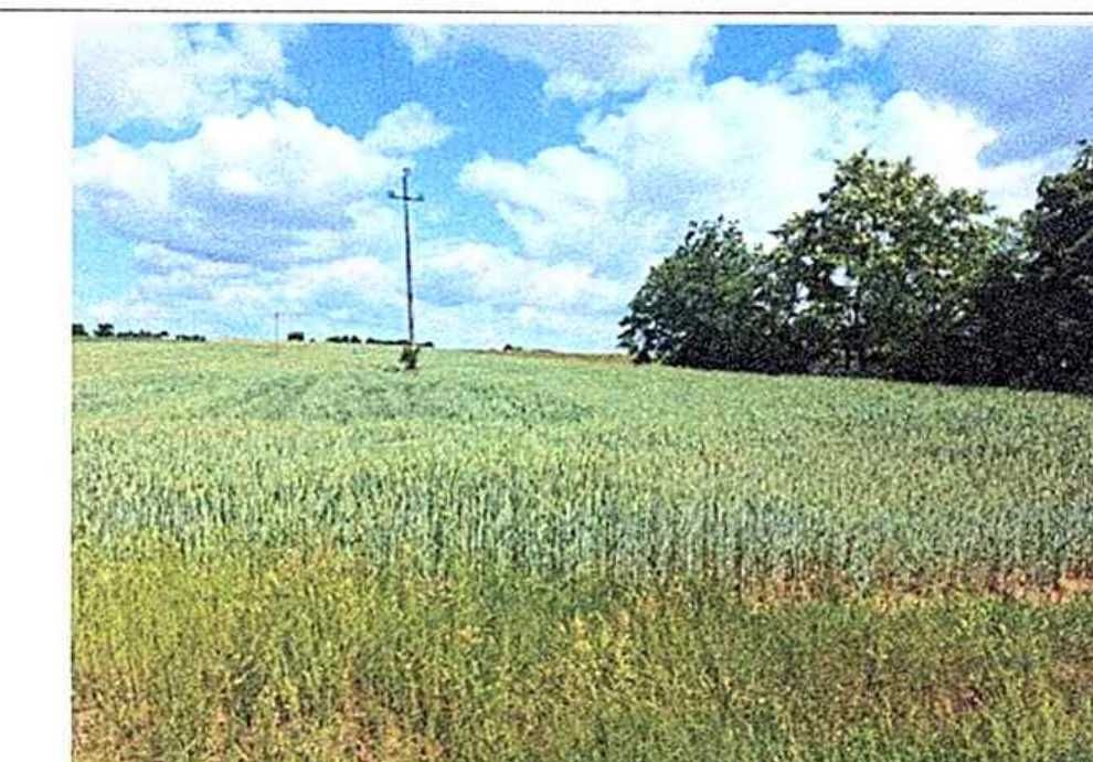 Syndyk sprzeda w drodze przetargu 0,83 ha gruntu rolnego, Skarżyn-Kolonia, gm. Malanów - Widok 4