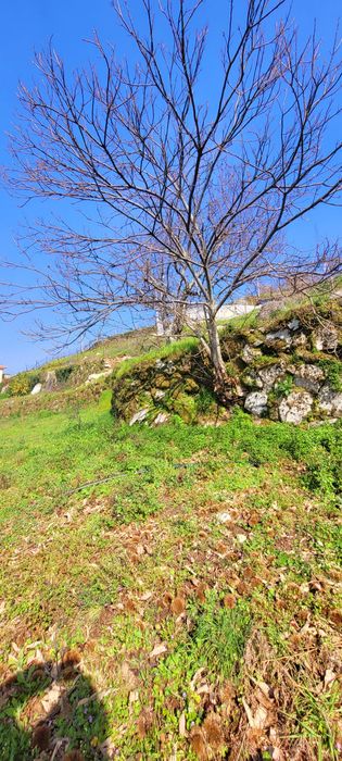 Terreno Douro p/construção-COM projeto aprovado!