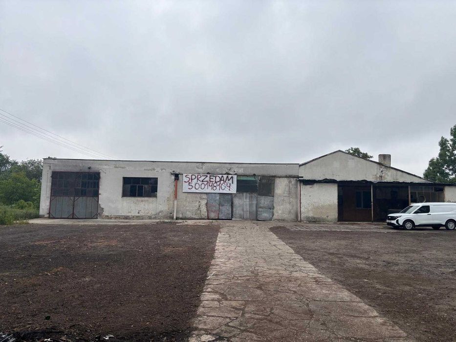 Zakład przemysłowy Drołtowice 67, Radzyna