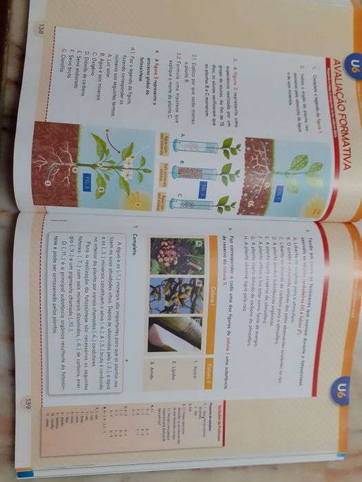 Manual e Caderno de Atividades Natura 6 - 6º ano Ciências