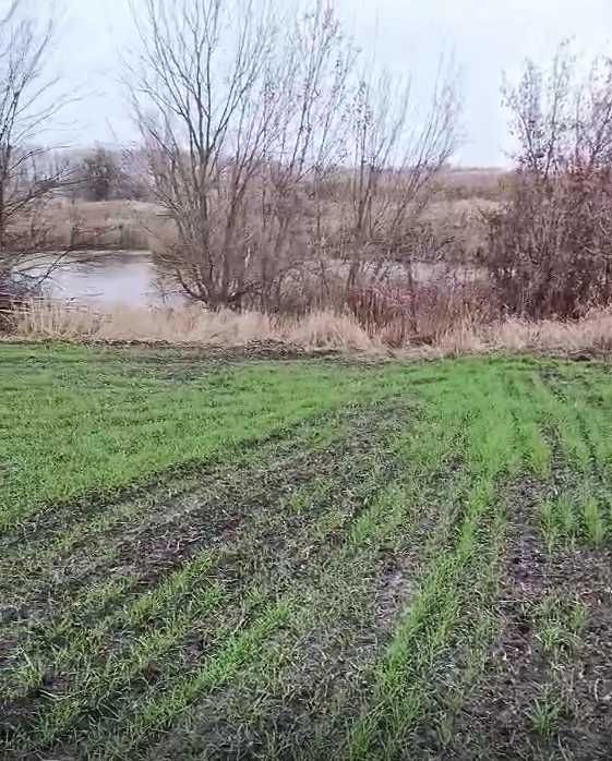 Продаж зем. ділянки с.Іванівка Обухівського р-ну З ВИХОДОМ ДО ВОДИ