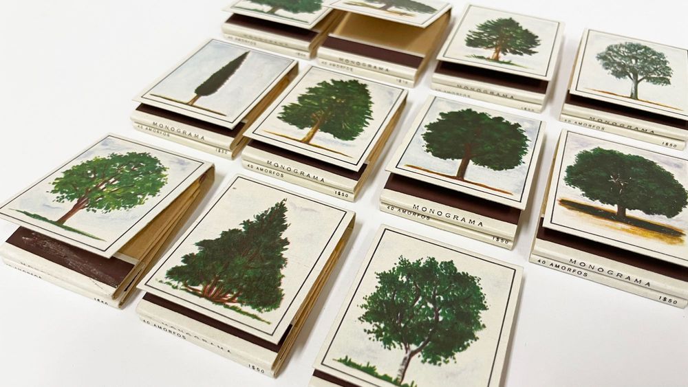 Matchboxes (Native Trees of Portugal)