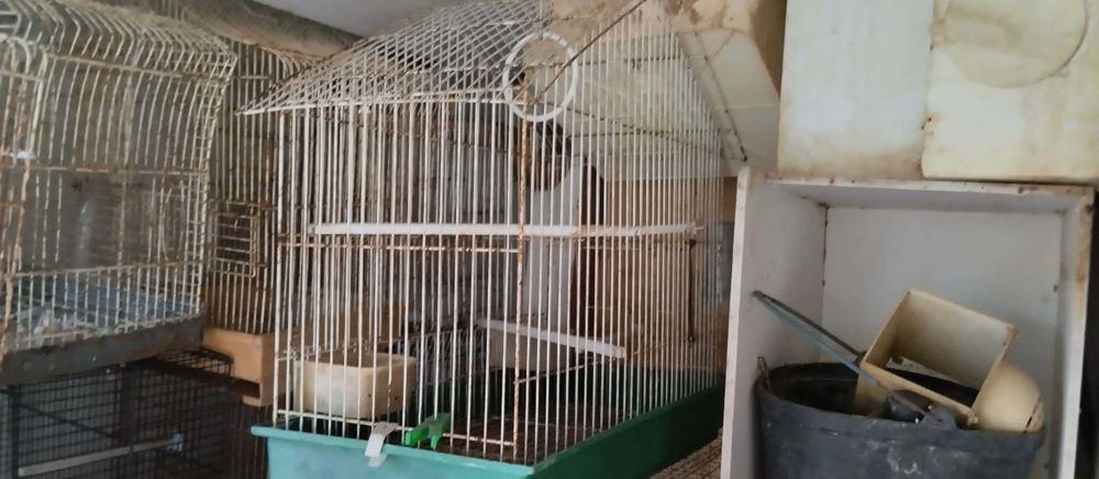 Varias gaiolas de aves