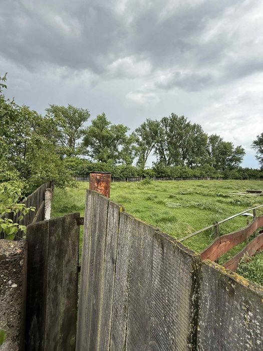 Продається ферма.