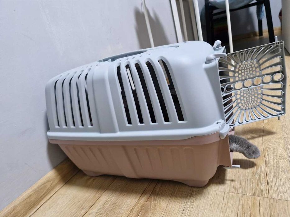 Solidny Transporter Klatka Dla Kota Psa Królika Kojec Do 10 kg Box