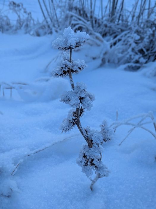 Земельна ділянка, продаж, 10сот., 28тис