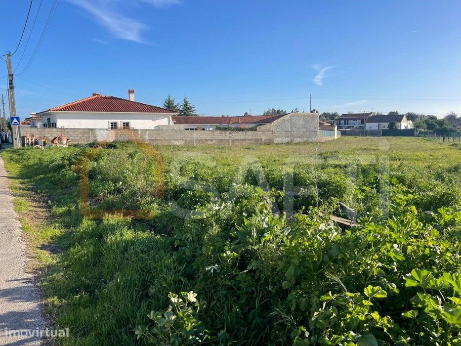 Terreno urbano em Charneca de Alcorochel, Torres Novas — Brogueira, Parceiros De Igreja E Alcorochel, Santarém