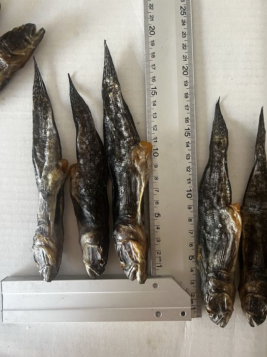 Вялений бичок чорноморський