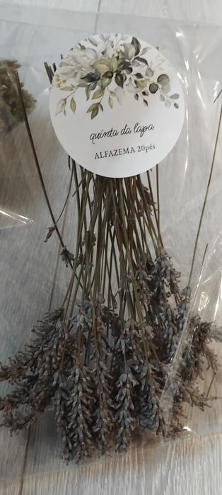 Ervas aromaticas - alfazema - louro - oregãos