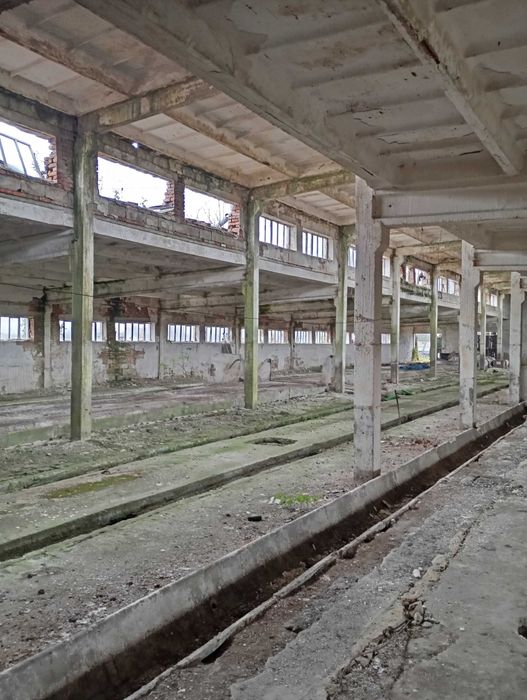 Magazyn, Hala 1500 metrów kwadratowych, 8 wjazdów..