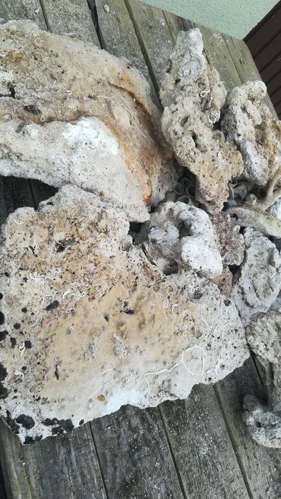 Skała koralowa do morskiego akwarium