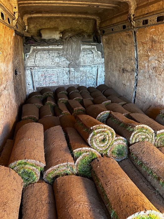 Рулоний газон, рулонна трава