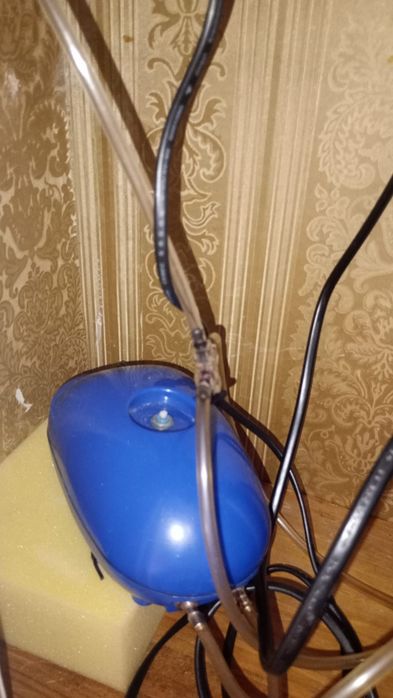 Vendo aquario todo completo urgente