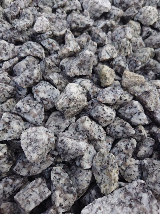 Kamień ozdobny Grys Dalmatyńczyk Granit WORKOWANY lub Big bag