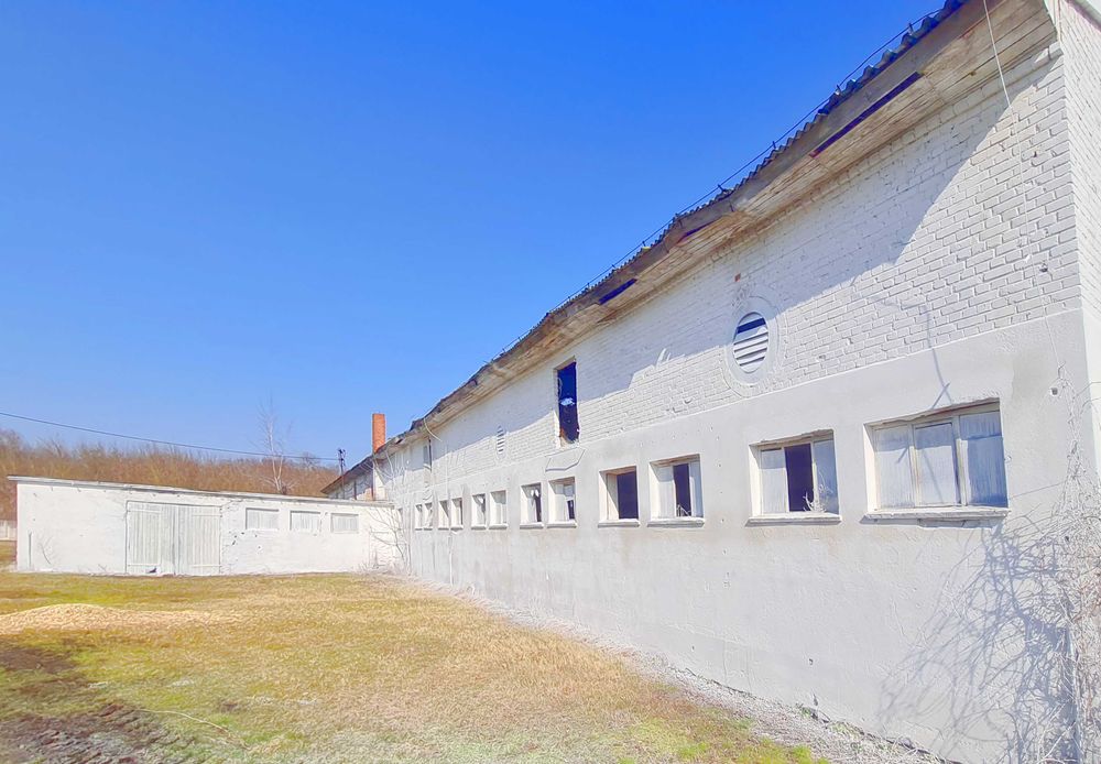 Bielenie, Mycie Malowanie Obory Kurnika Obór Kurników Hali Magazynu