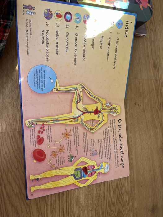 Livro do corpo humano