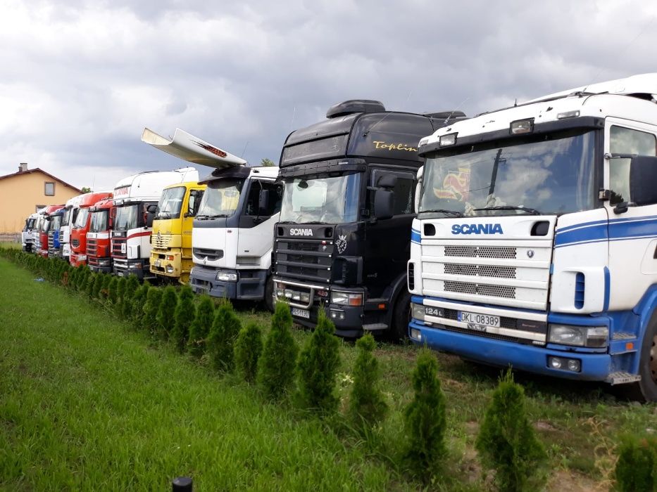 SKUP AUT CIĘŻAROWYCH Man Daf Renault Mercedes Iveco Volvo Scania