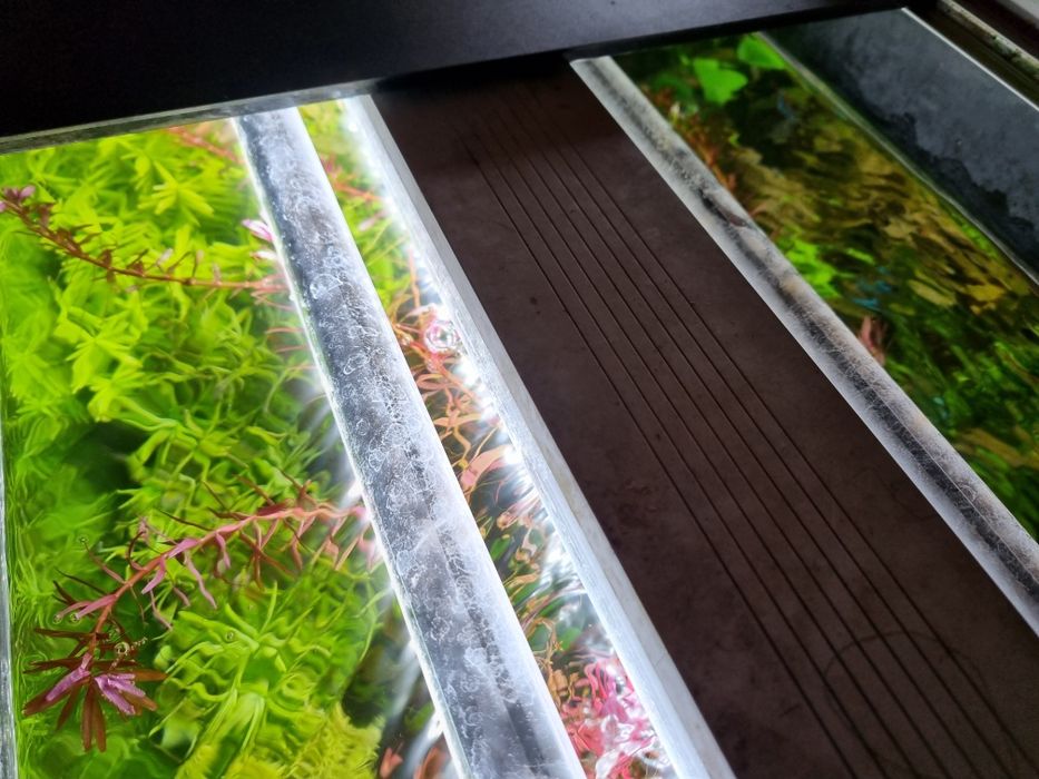 Zestaw Oase StyleLine 125 + BioMaster 350 Thermo + C02