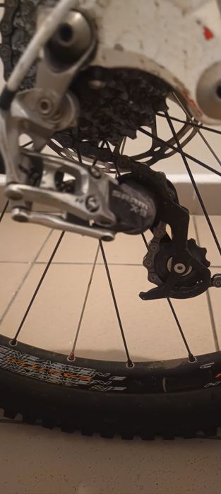 rower demo 8 downhill