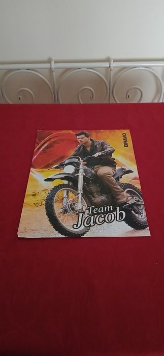 Poster Team Jacob/Team Eduard