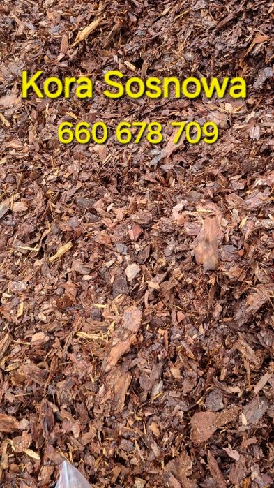 Kora Sosnowa Ogrodowa sortowana świeża kompostowana luz worek 80L