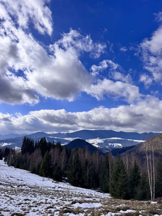 Земля 3,64 га у Карпатах, вид на Чорногірський хребет, під будівництво