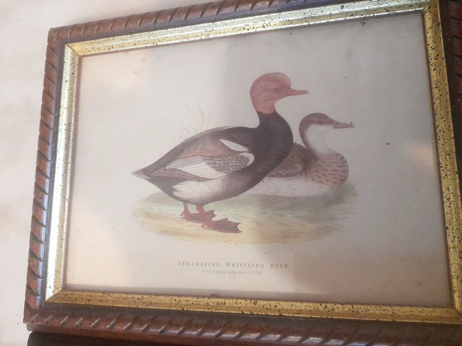 Quadro Chaveiro Vintage
