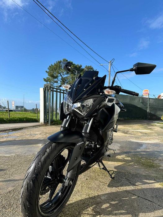 Kawasaki Z300 Performance 2017