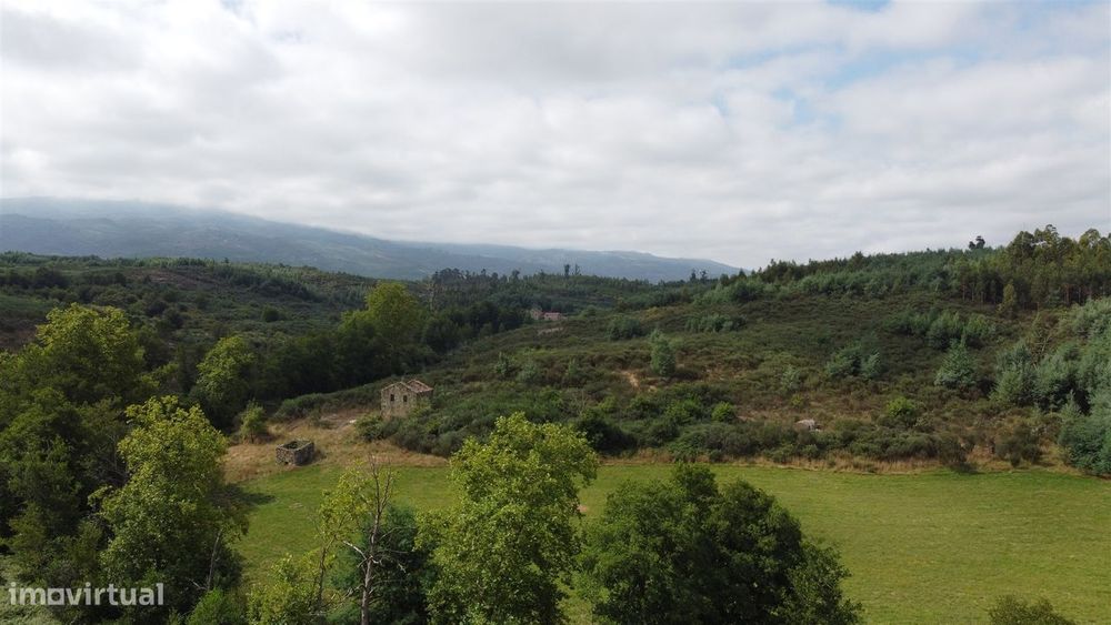Quinta  Venda em Rio Torto e Lagarinhos,Gouveia
