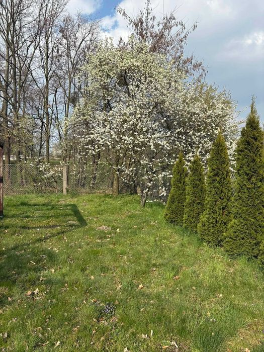 Sprzedam Działkę Rod