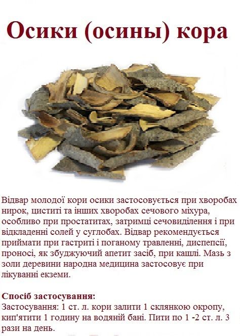 Осика Кора осины осики з Карпат