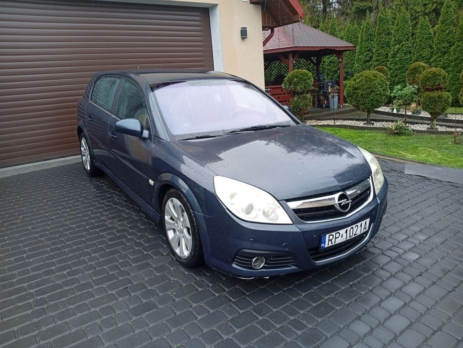 Opel signum skup samochodów
