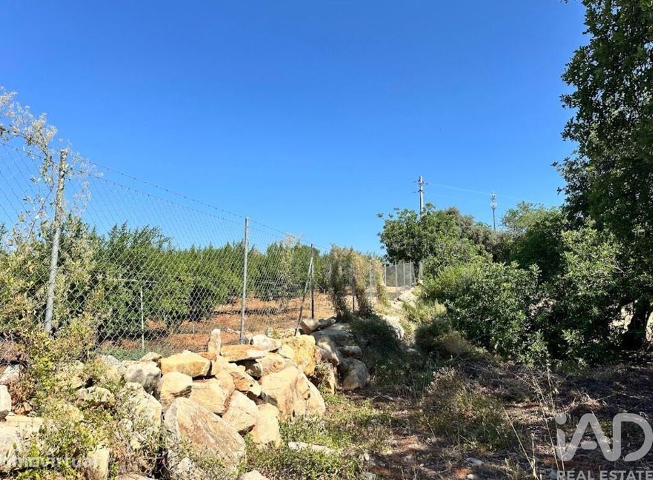 Terreno em Luz de Tavira e Santo Estêvão de 5570,00 m2