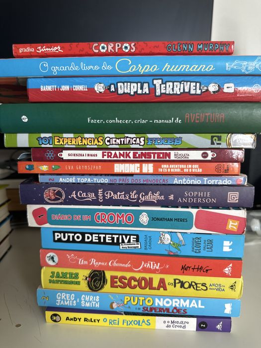 Diversos Livros de Leitura Juvenil