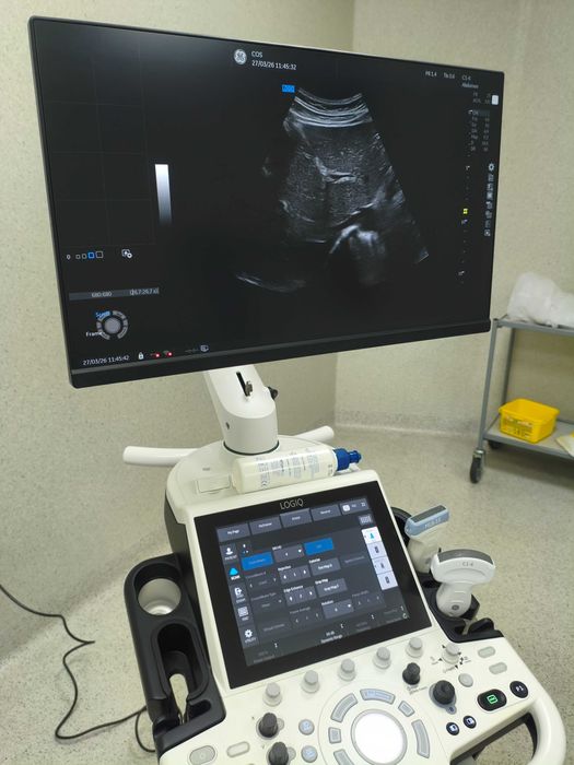Ecografo GE Logiq P9 XDclear R4.5 com 2 sondas - excelente estado