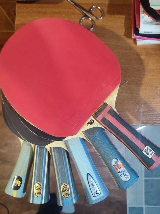 Butterfly Ovtcharov Maze  -Timo Boll-alc Andro Synteliac Apolonia zlc