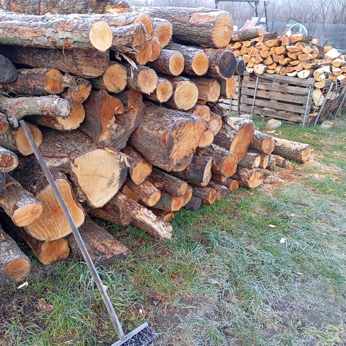 Olcha drewno opał liściaste