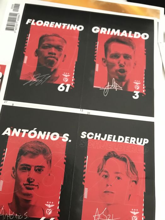 Sport Lisboa Benfica - Campeão 22/23 - Autocolantes