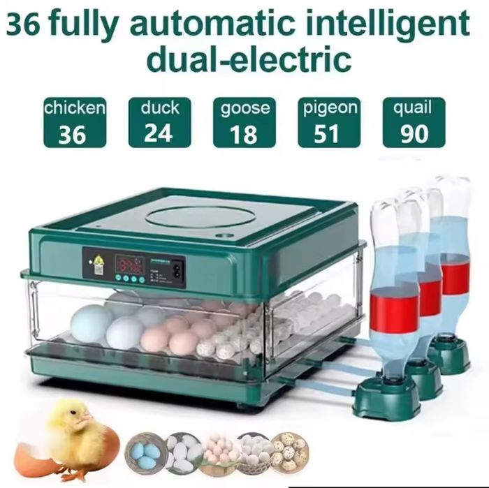 50% desc. [NOVA] Incubadora/Chocadeira 36 ovos galinha 90 codorniz