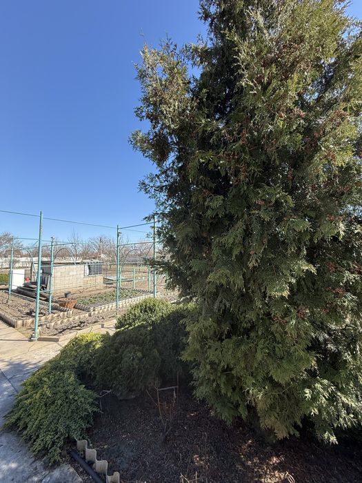 Продам дачу 24 сотки