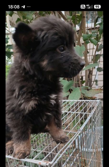 Хлопчик безкоштовно