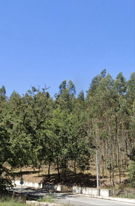Terreno com cerca de 2 hectares e 70m frente EN309 - Famalicão